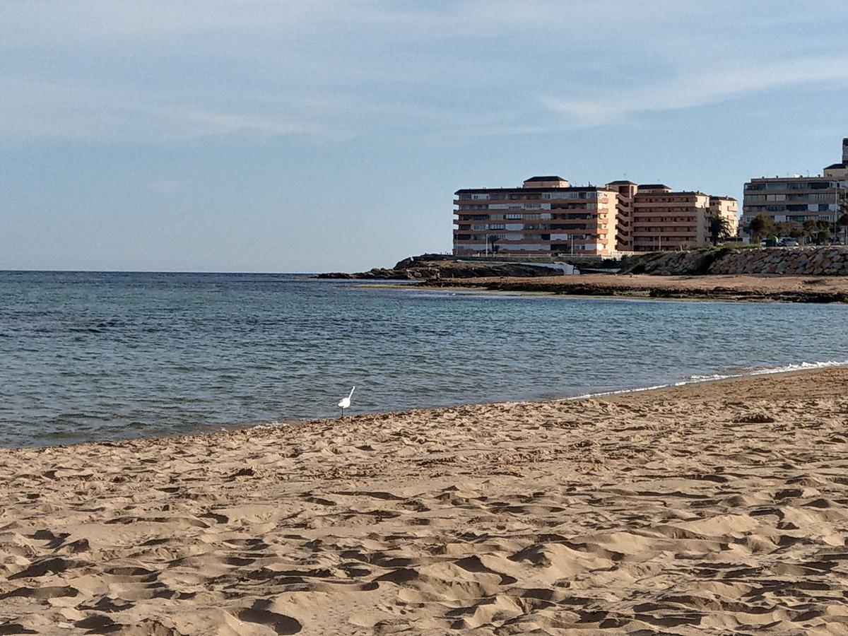Ferienwohnung Torrevieja Eksteriør billede